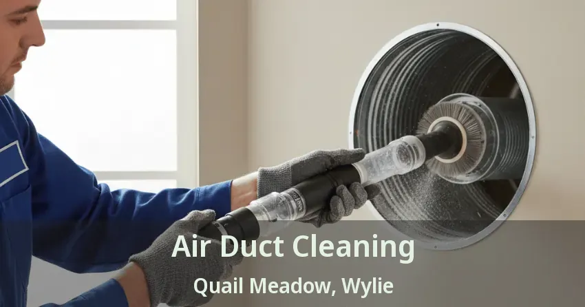 Air Duct Cleaning Quail Meadow, Wylie - TX