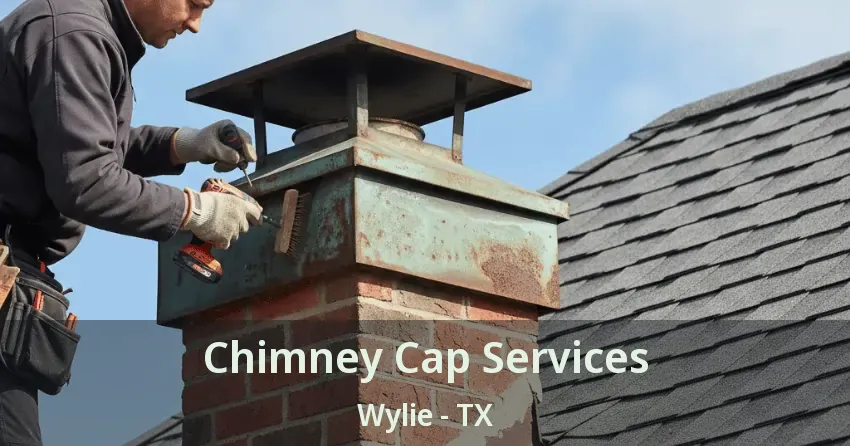 Chimney Cap Services Wylie - TX