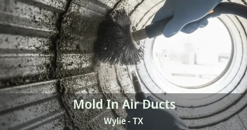 Mold In Air Ducts Wylie - TX