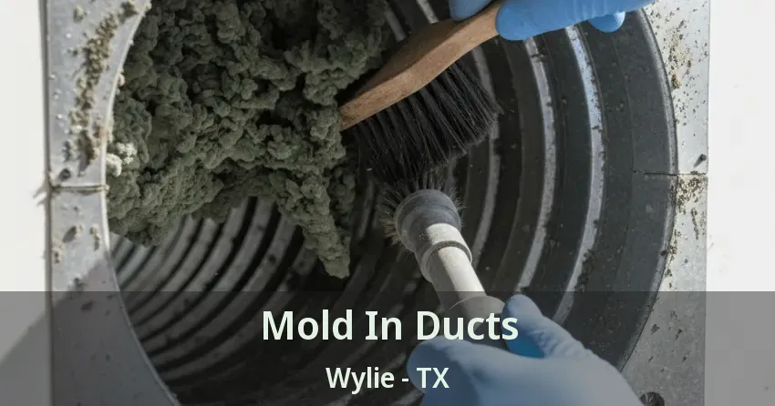 Mold In Ducts Wylie - TX Mold In Ducts Wylie - TX