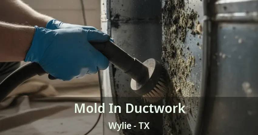 Mold In Ductwork Wylie - TX Mold In Ductwork Wylie - TX